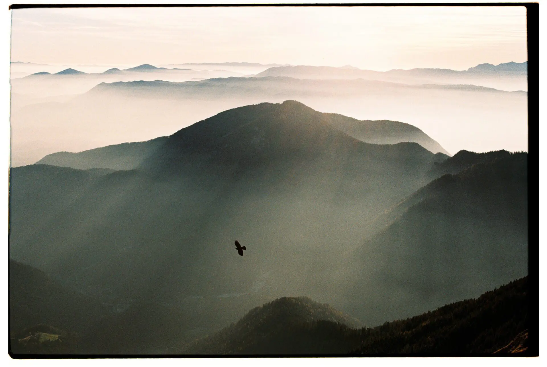 Bird flying over a misty Karawanks