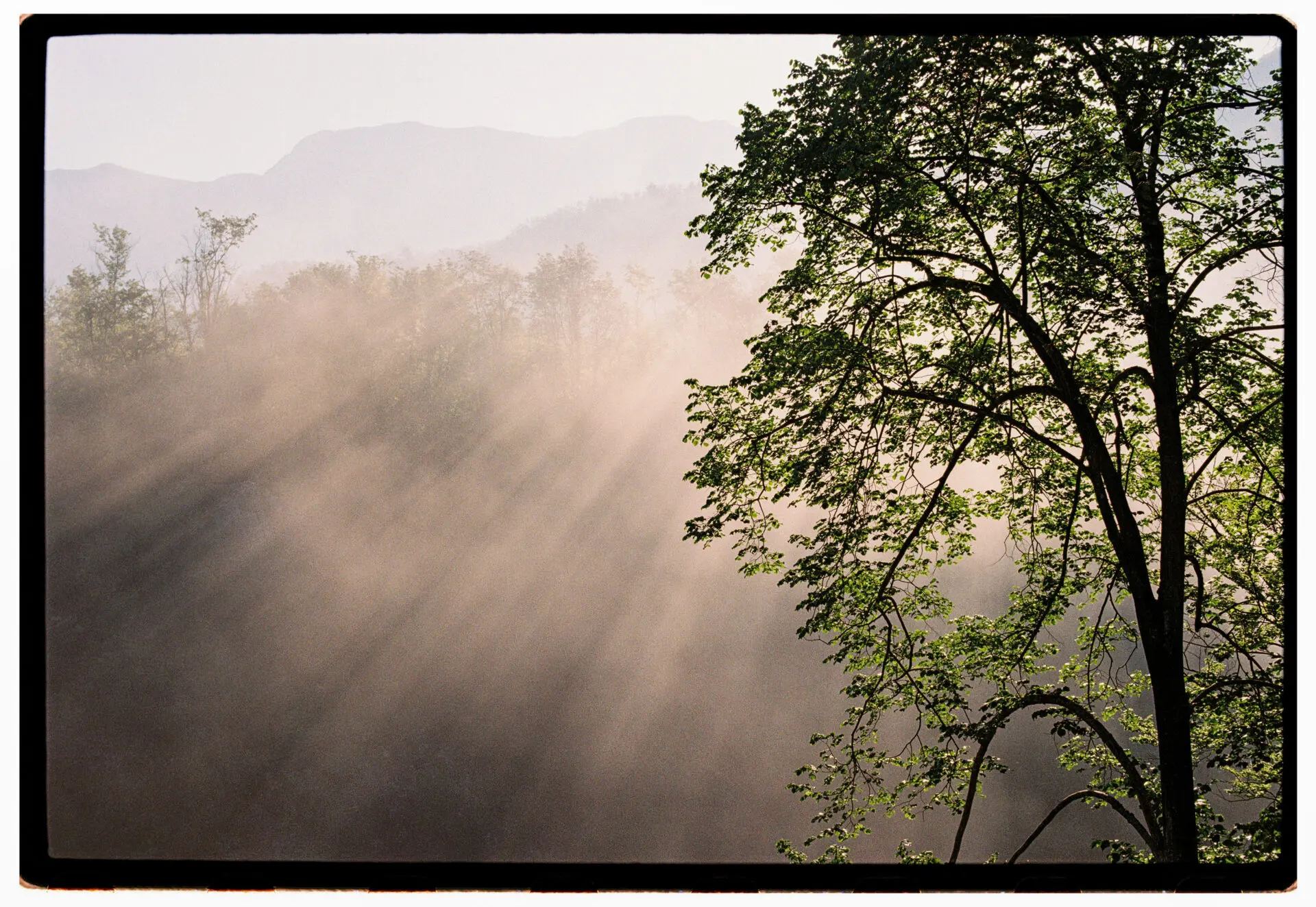 Rays of light coming through the fog over the river Soča.