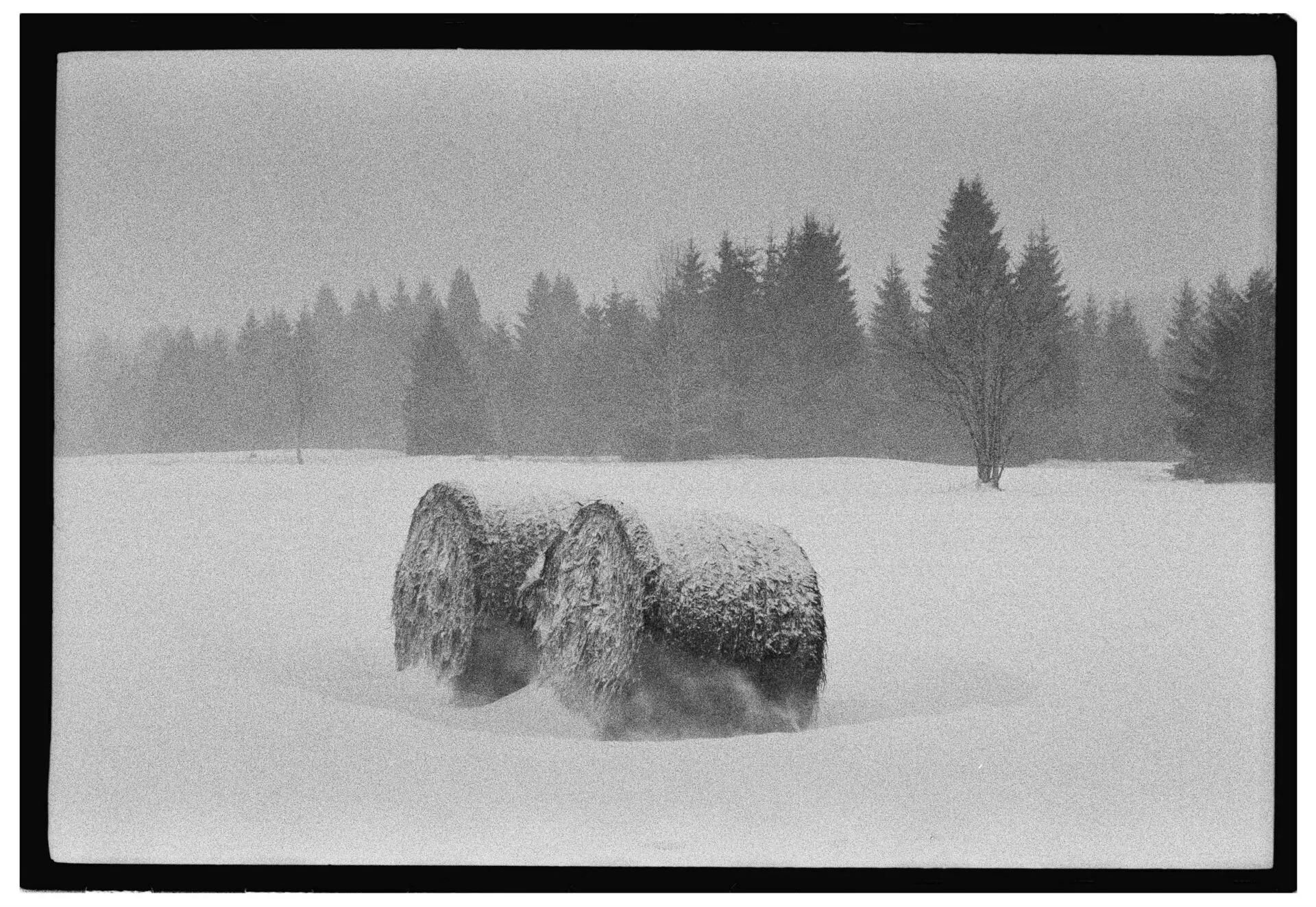 Winter on Matić poljana